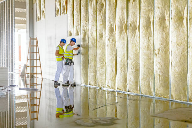 Best Insulation Installation Services in Valley Hill, NC